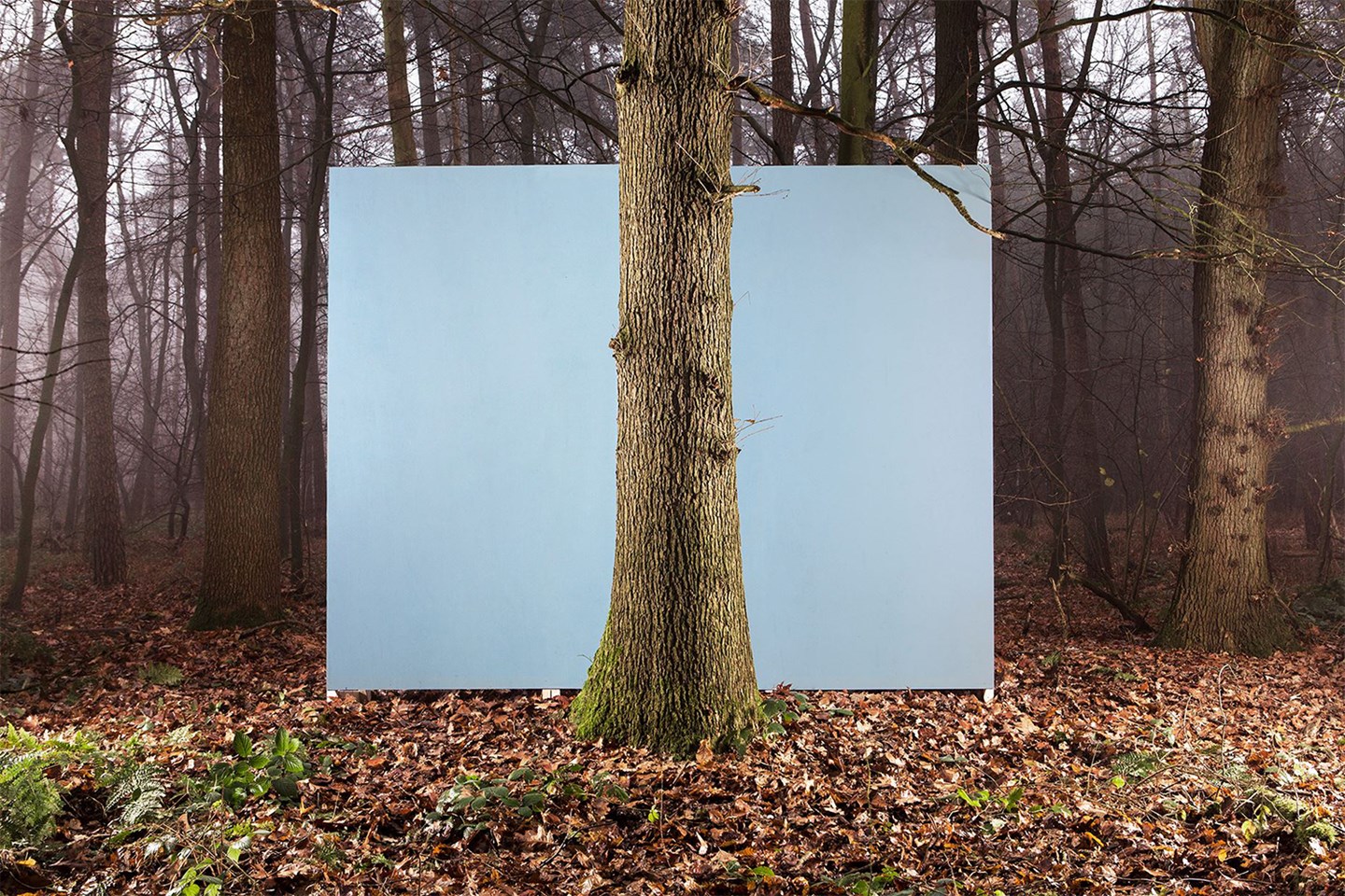 arco local wood collection